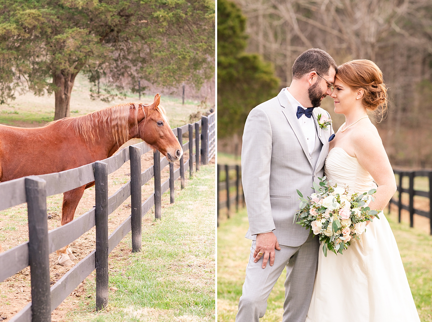 Barboursville Vineyard Wedding Photo_0383.jpg