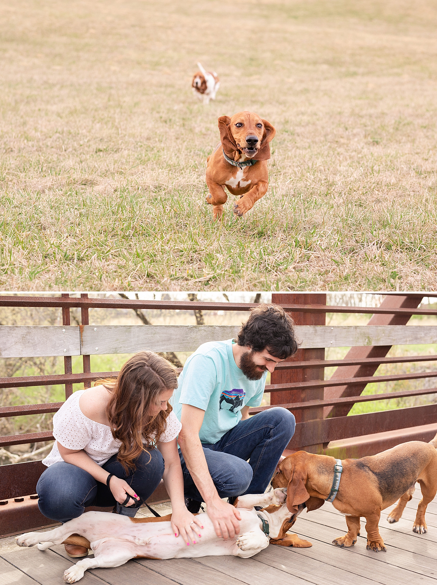 Matthew and Callie Roanoke Engagement Photo_0451.jpg