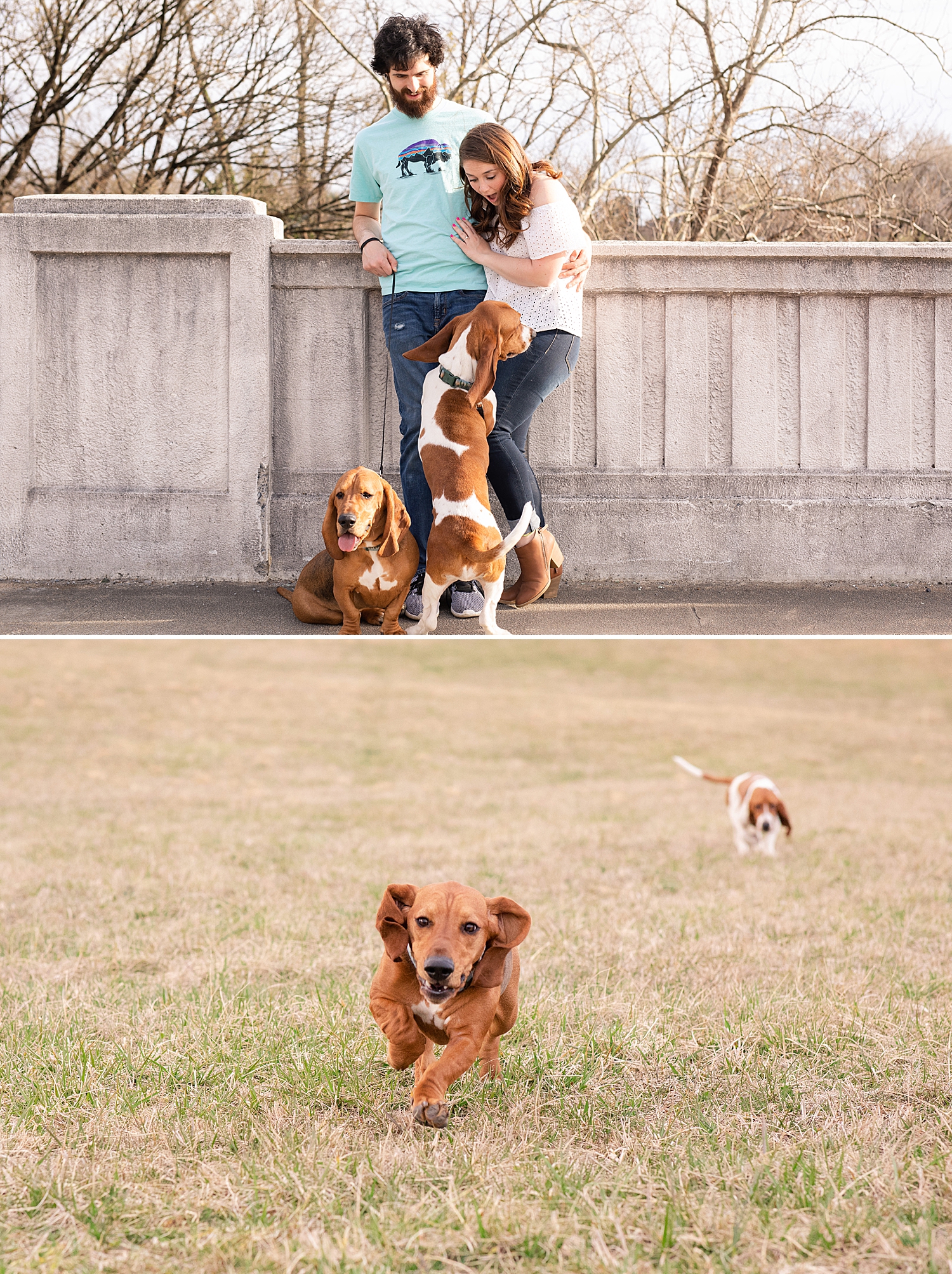 Look at these cuties running! Howie is my spirit animal in this photo haha!!