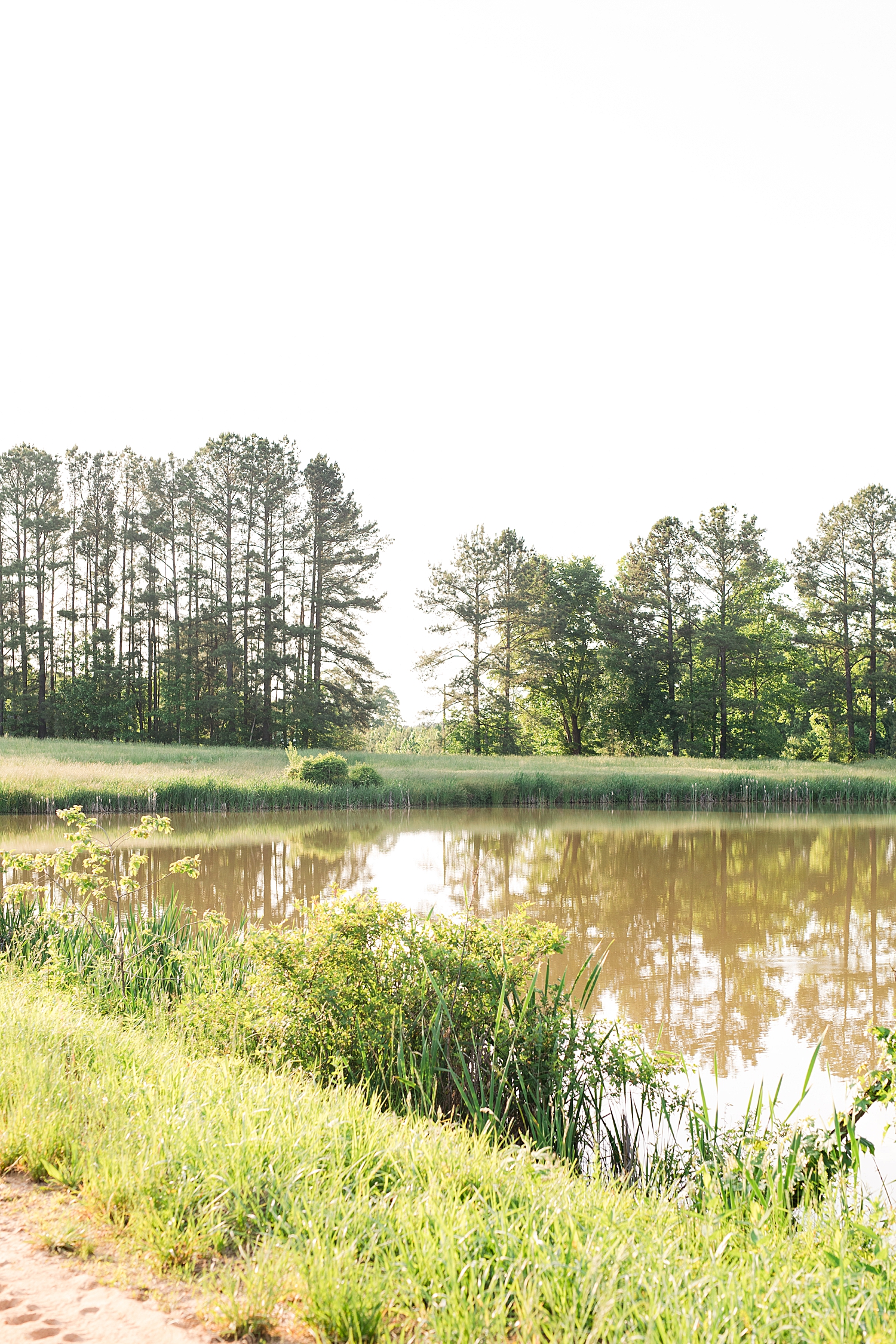 Danville Farm Engagement Session Photo Lynchburg Wedding Photographer_0728.jpg