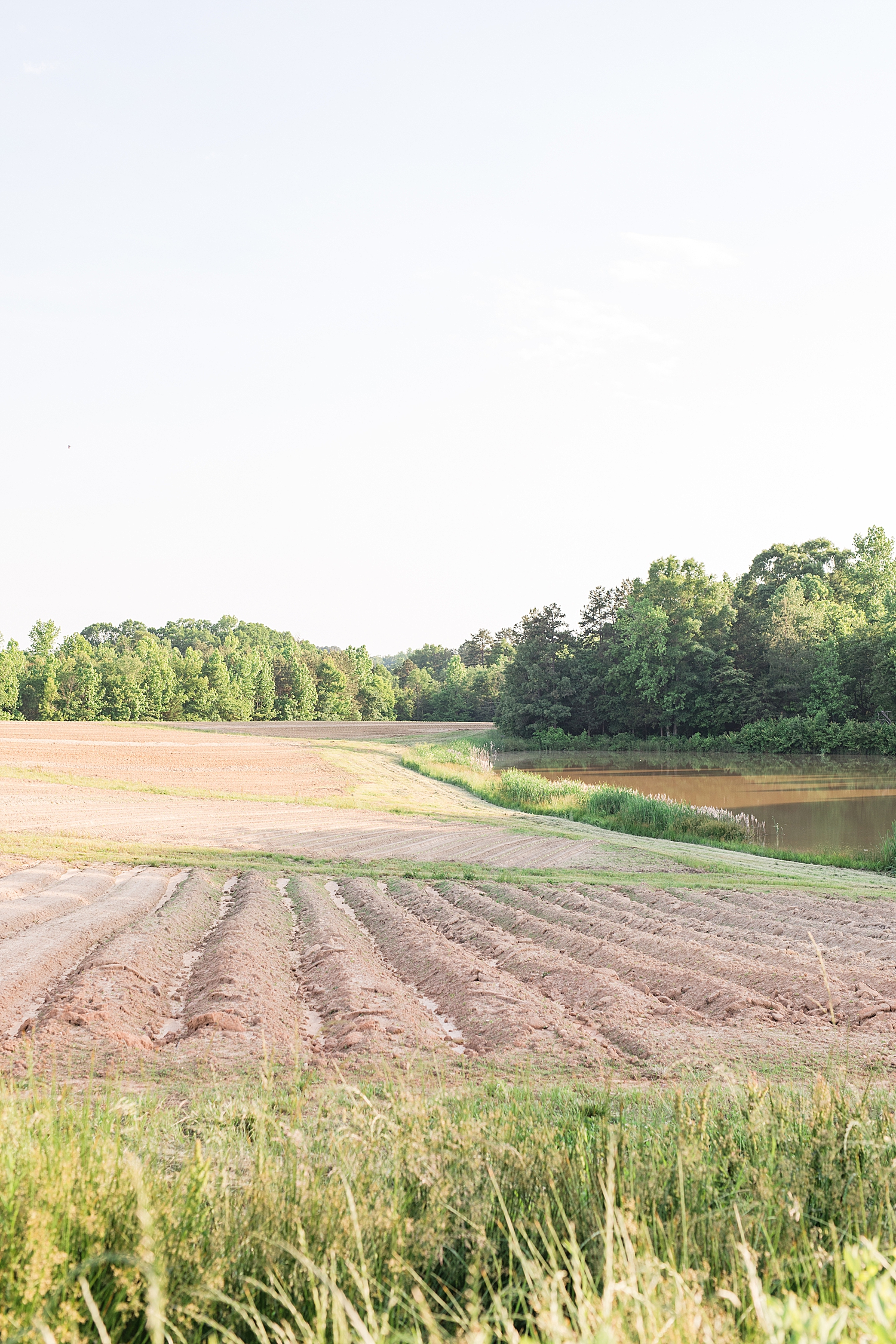 Danville Farm Engagement Session Photo Lynchburg Wedding Photographer_0730.jpg