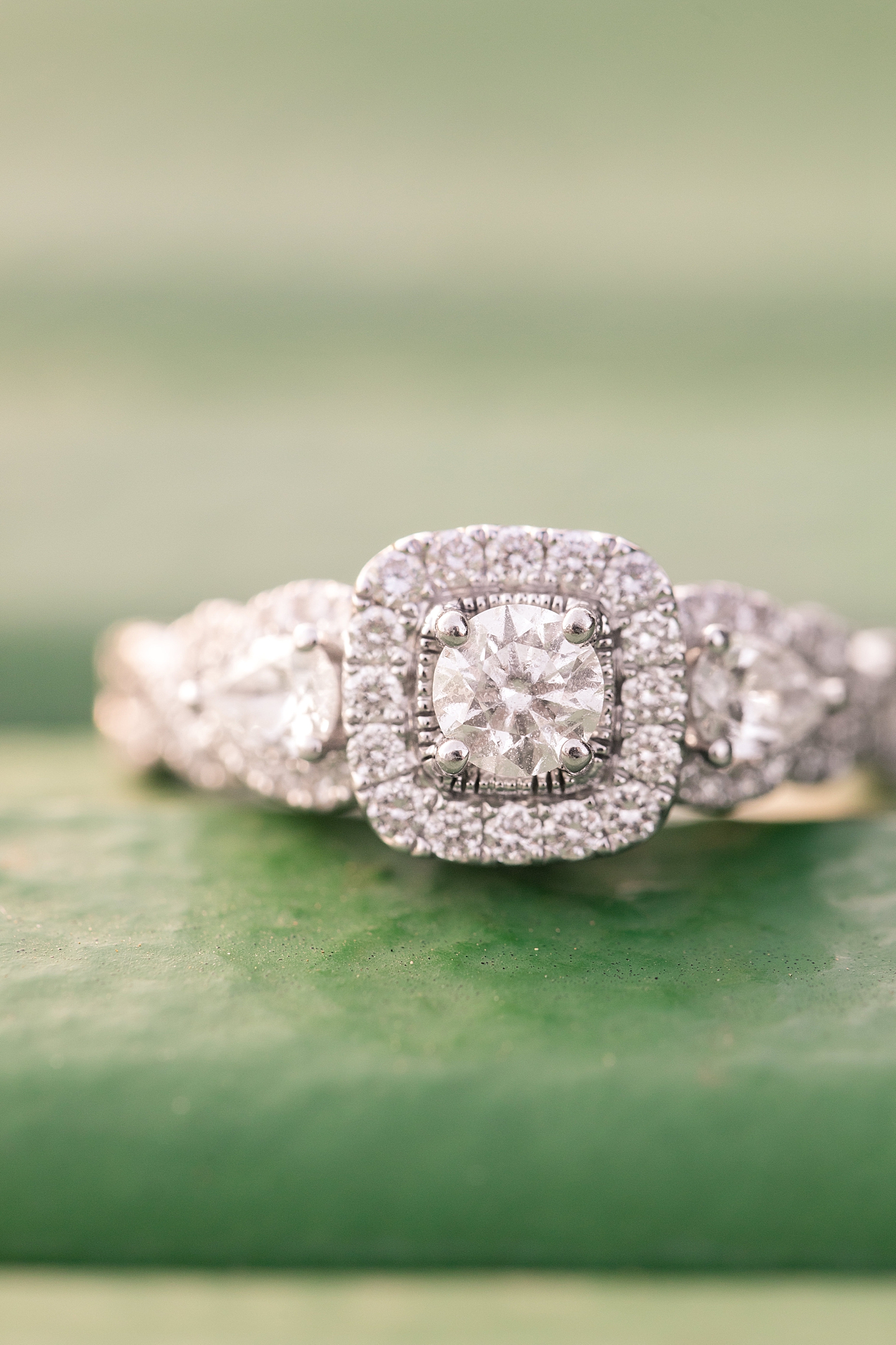 Danville Farm Engagement Session Photo Lynchburg Wedding Photographer_0738.jpg