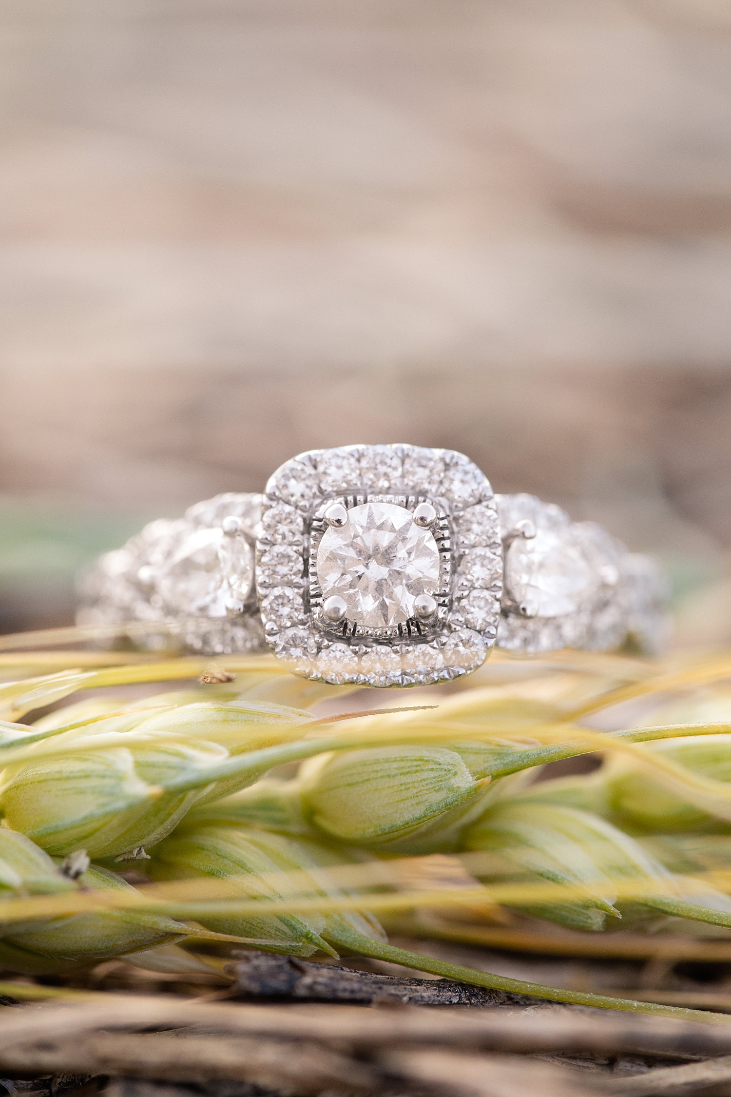 Danville Farm Engagement Session Photo Lynchburg Wedding Photographer_0739.jpg