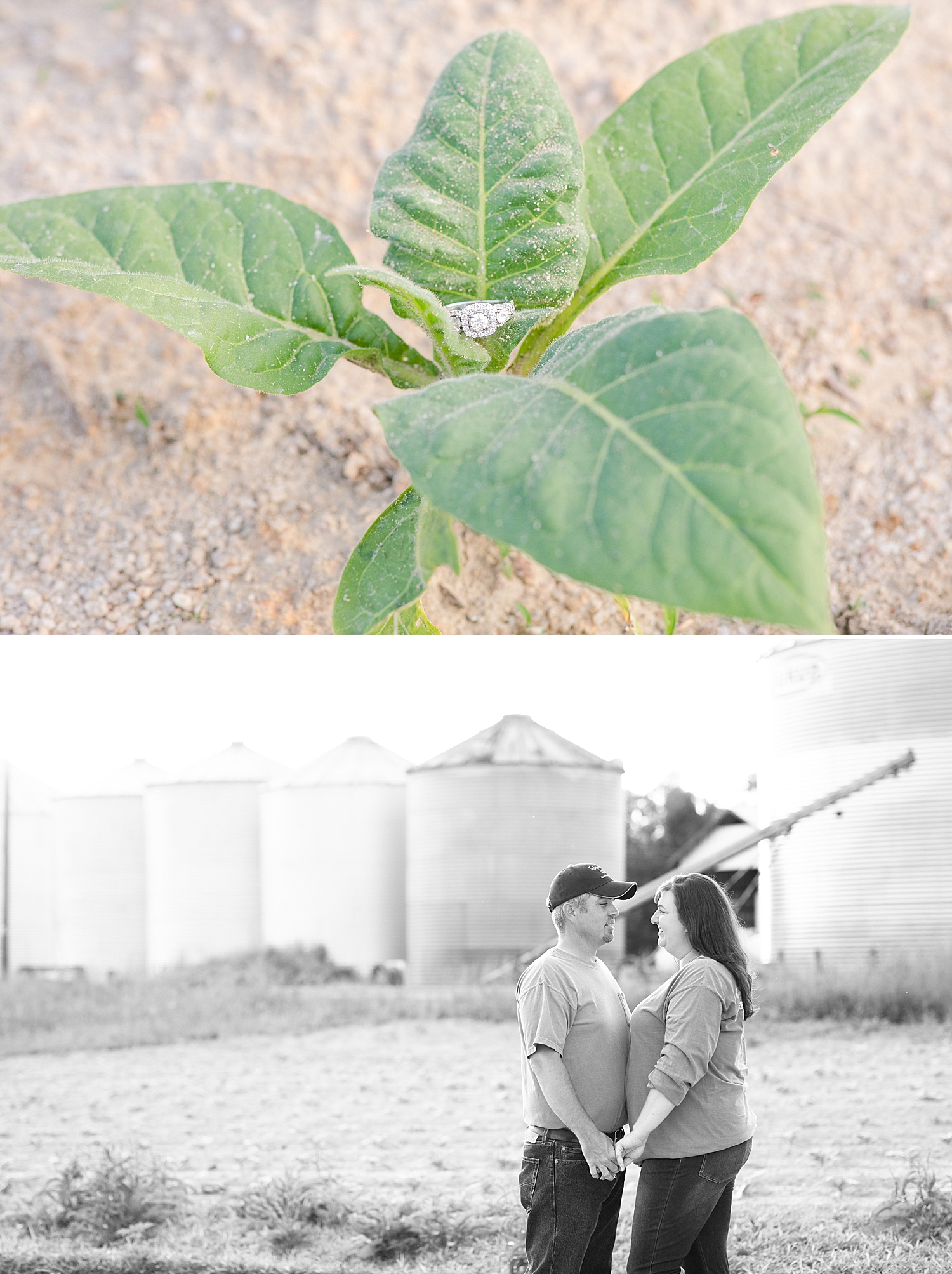 Danville Farm Engagement Session Photo Lynchburg Wedding Photographer_0744.jpg