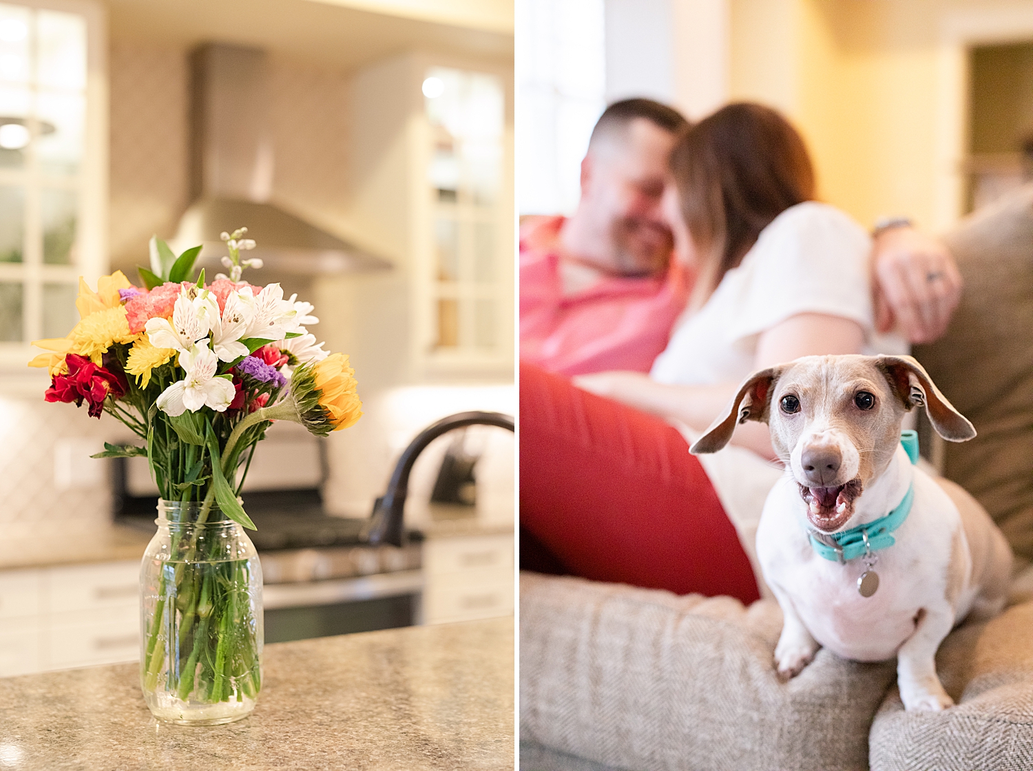 Look at these freshly cute flowers!! I just love how they thought ahead to add this special touch. Also here is Zoe not happy that I have her toy!! I can’t take her seriously with that delicate bow.