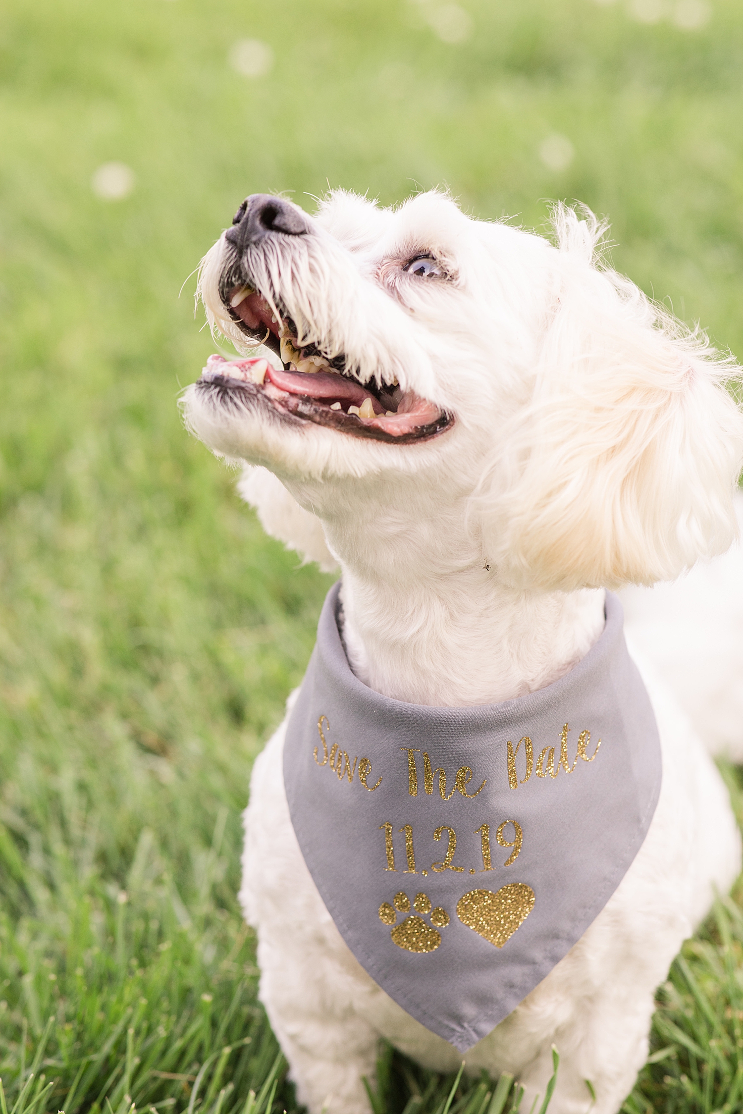 West Manor Estate Engagement Session Photo Virginia Wedding Photographer_0788.jpg