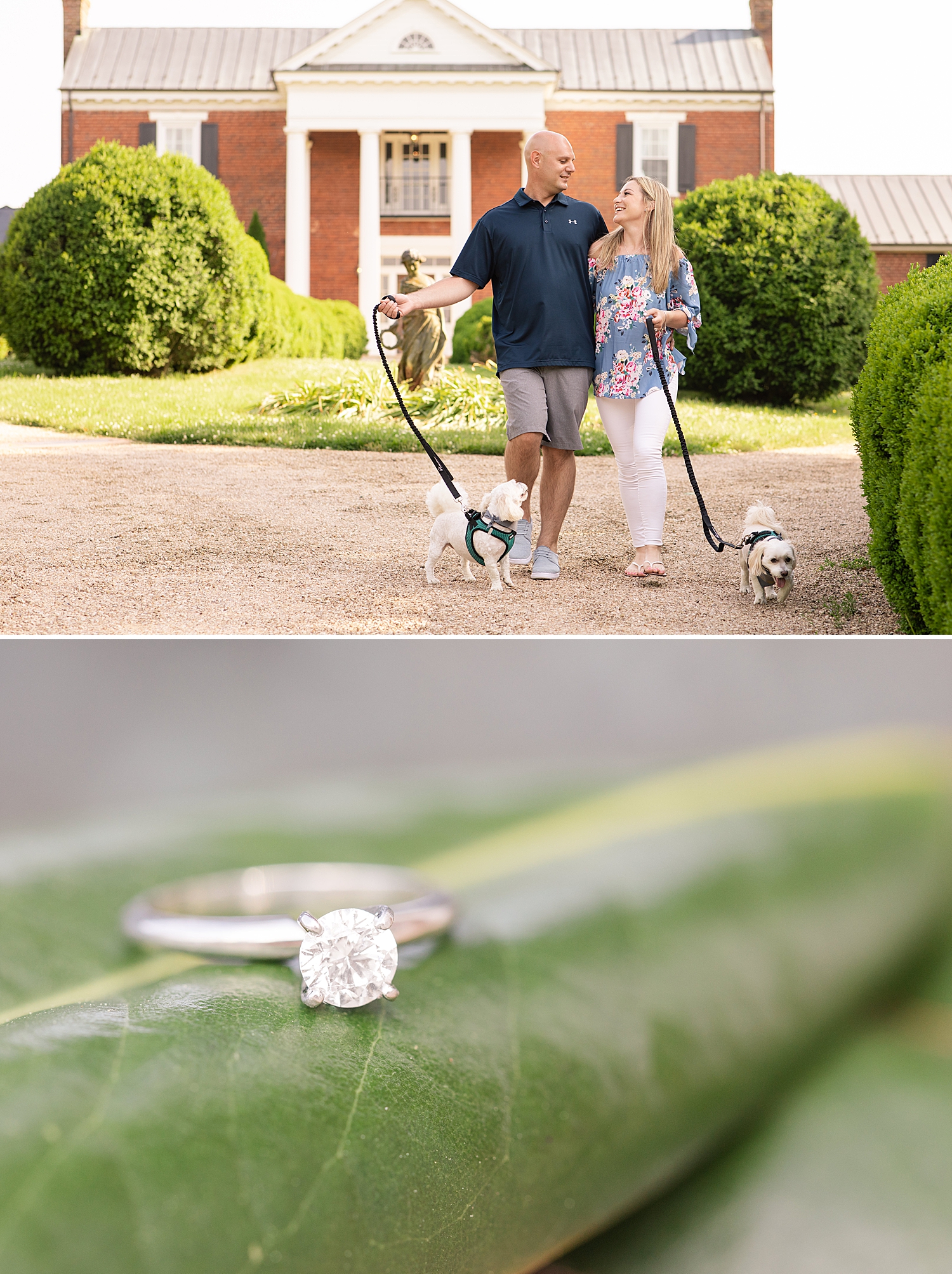 West Manor Estate Engagement Session Photo Virginia Wedding Photographer_0794.jpg