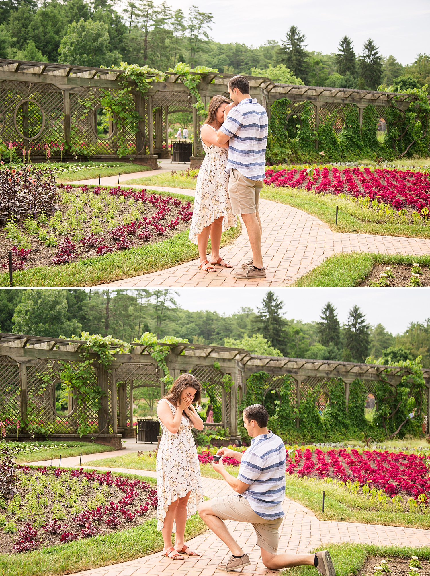 Biltmore Estate Proposal Photo_1001.jpg