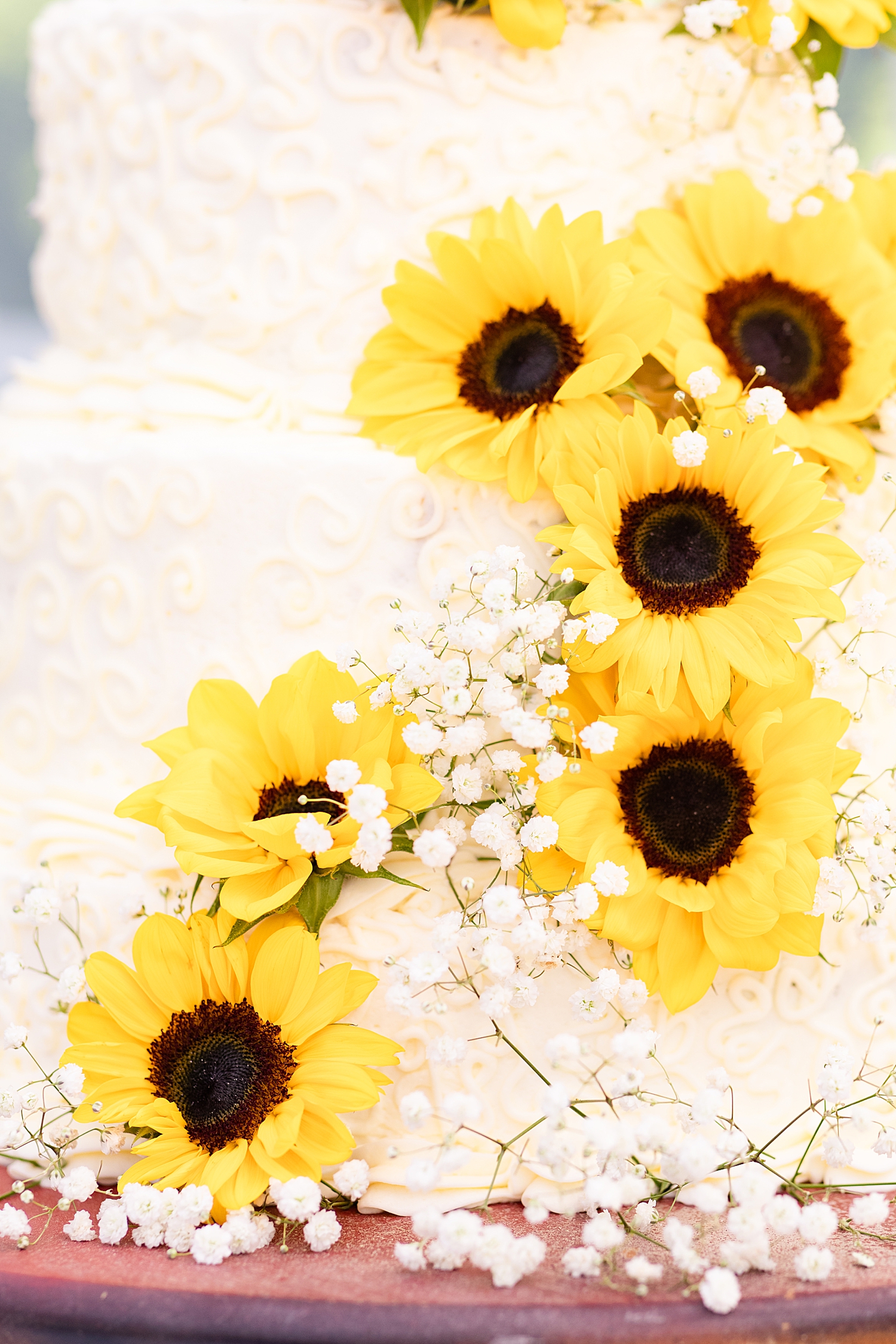 Intimate Spring Virginia Wedding Photo_0899.jpg