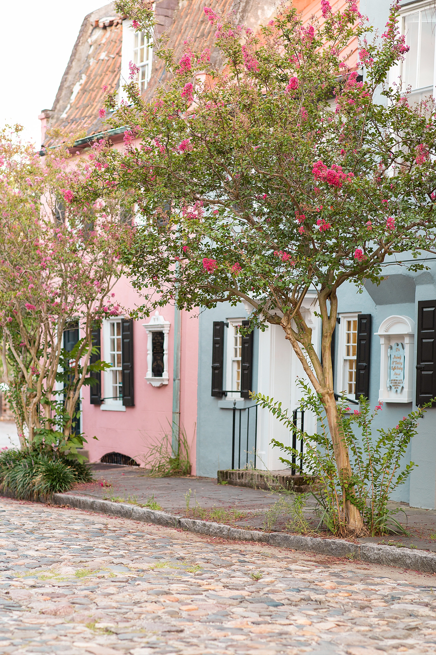 Charleston South Carolina Engagement Session Charleston Wedding Photographer Photo_1323.jpg