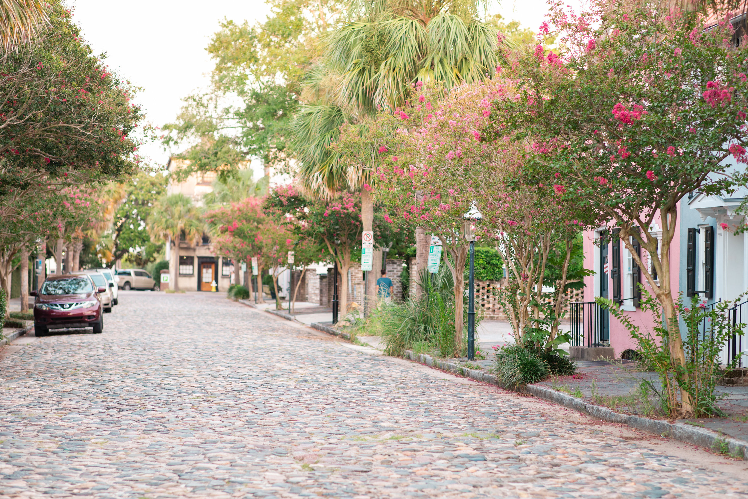 Charleston South Carolina Engagement Session Charleston Wedding Photographer Photo_9097.JPG