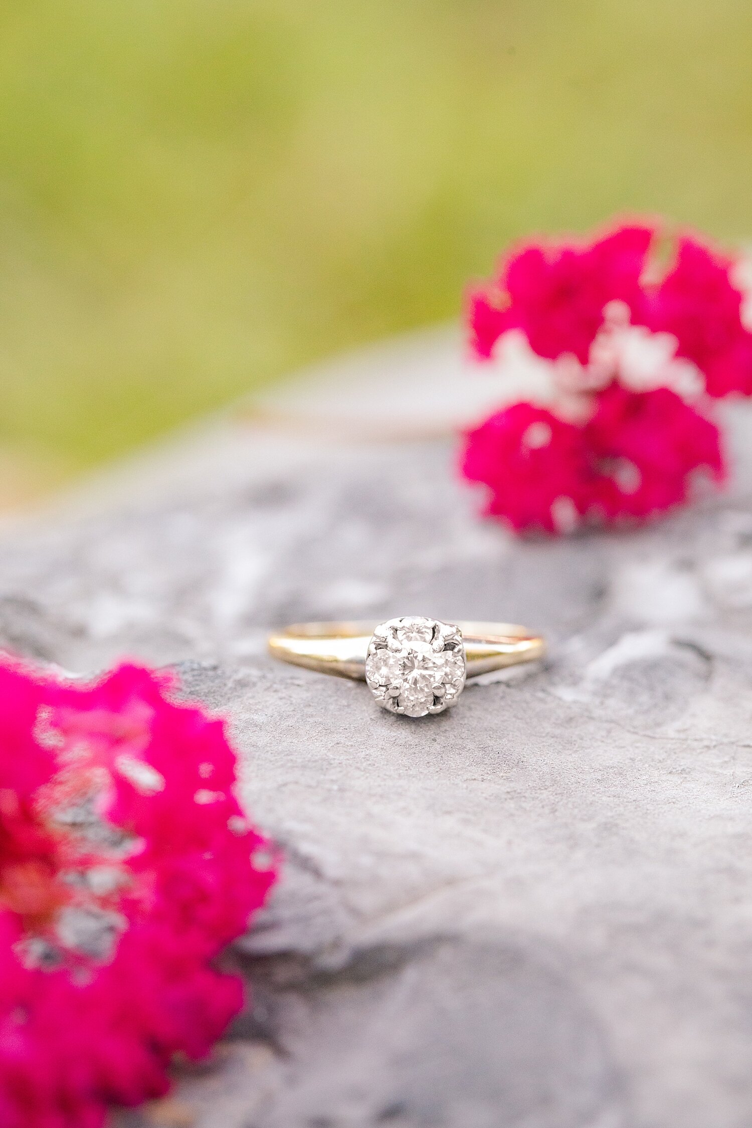 Explore Park Roanoke Engagement Session Photo_1397.jpg