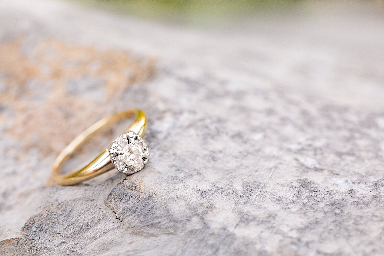 Explore Park Roanoke Engagement Session Photo_1418.jpg