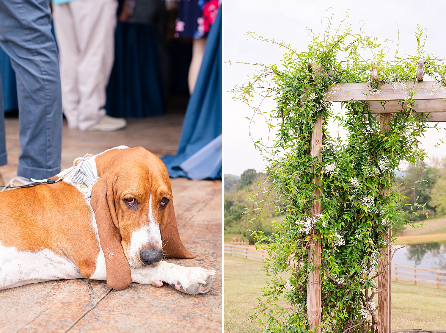 rustic-fall-pavilion-at-blackwater-creek-wedding-photo_1465.jpg