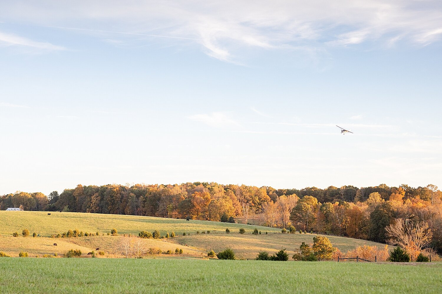 aviation engagement photos _14015.JPG