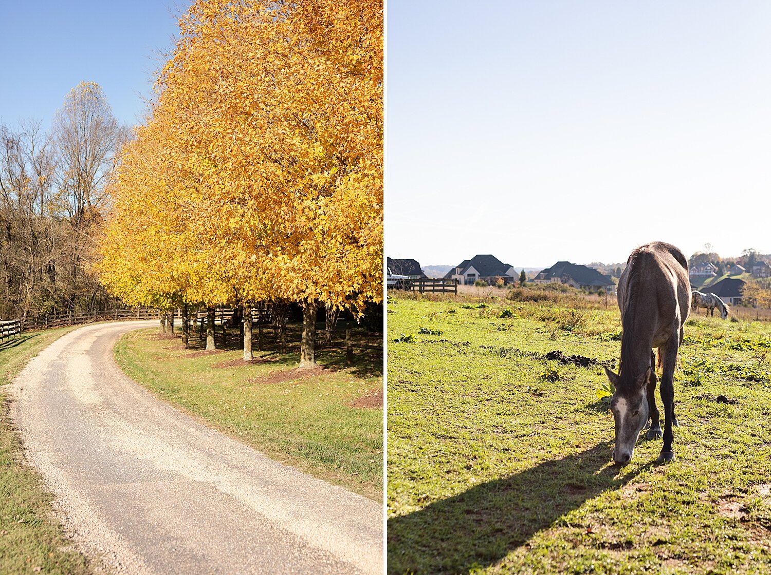 fall-west-manor-estate-wedding-_1886.jpg