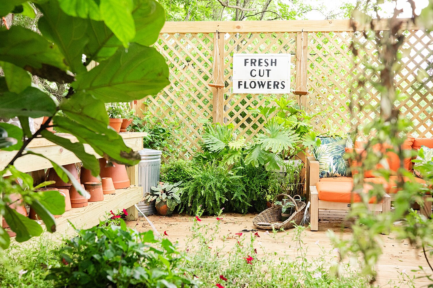 Vaughan House Greenhouse Summer Elopement_6006.JPG