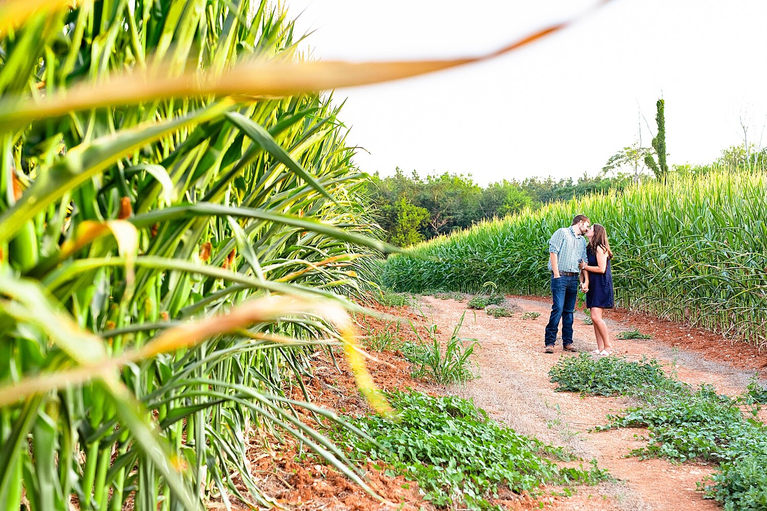 Farm Engagement Session_3171.jpg