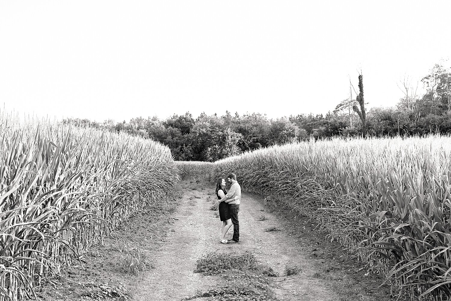 Farm Engagement Session_3182.jpg