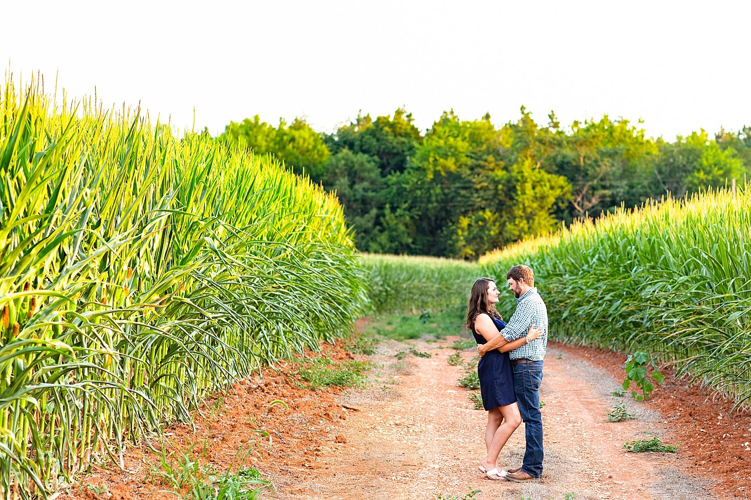 Farm Engagement Session_3191.jpg