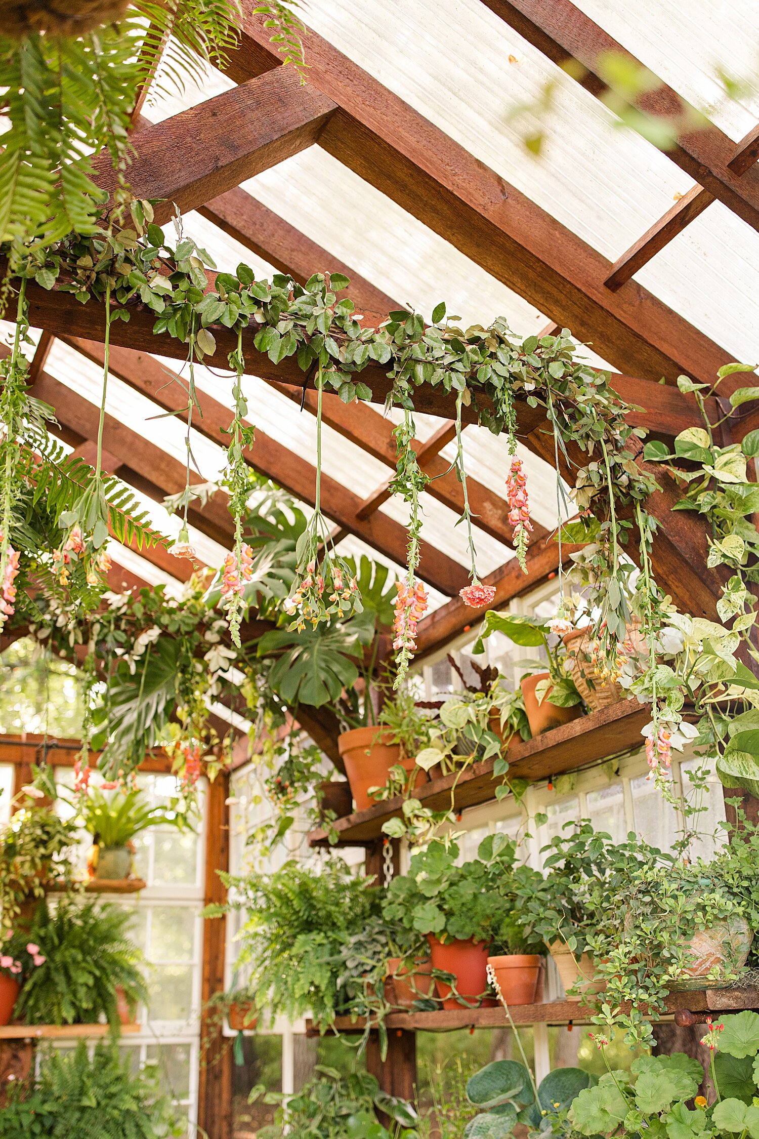 Greenhouse couples session_3323.jpg