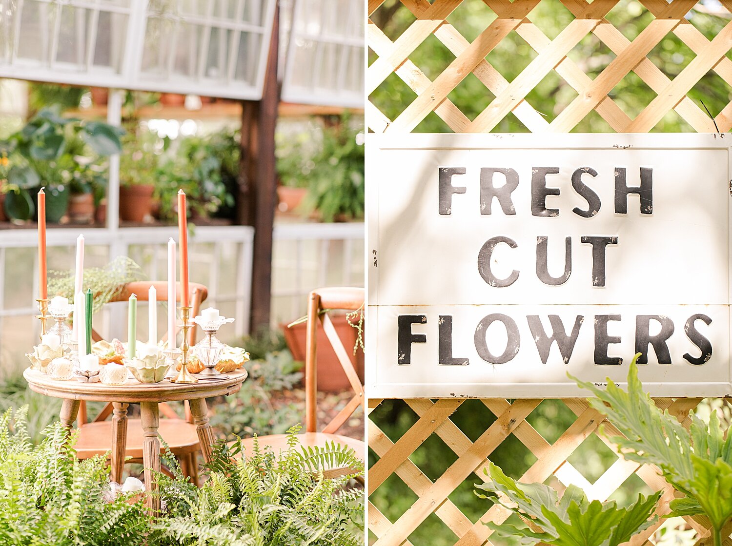 Greenhouse couples session_3363.jpg