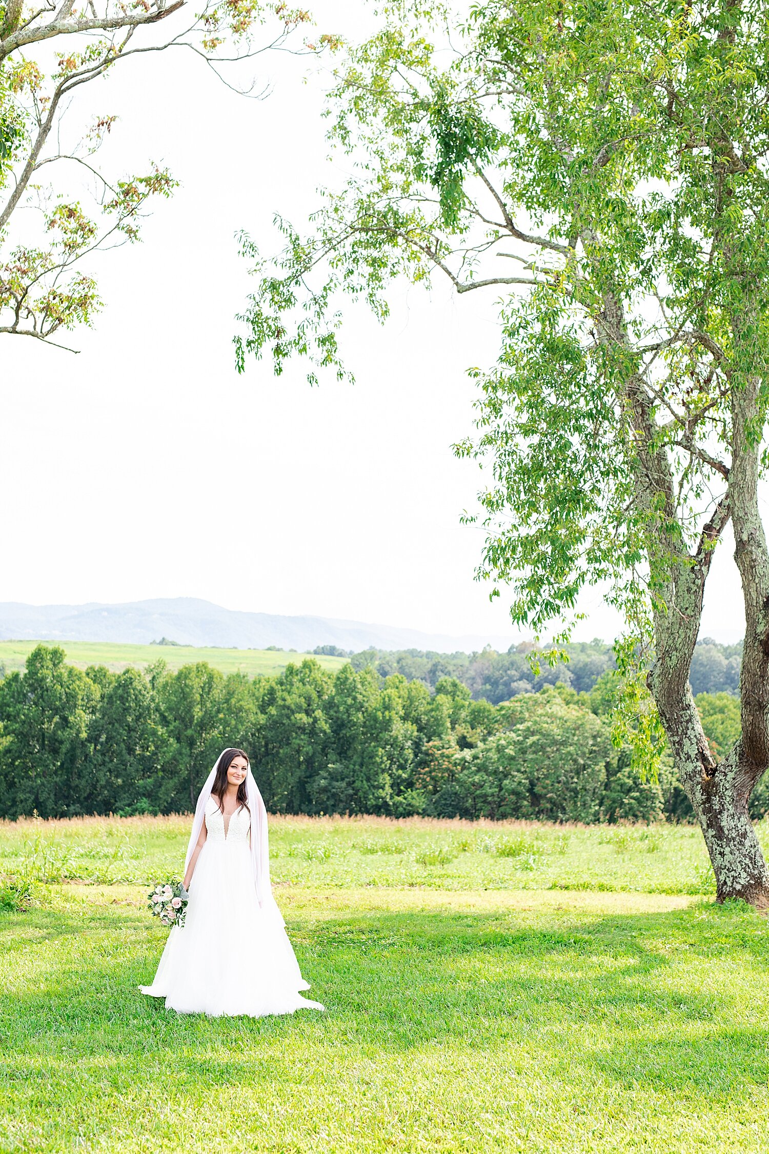 Roanoke Wedding Photographer_3393.jpg