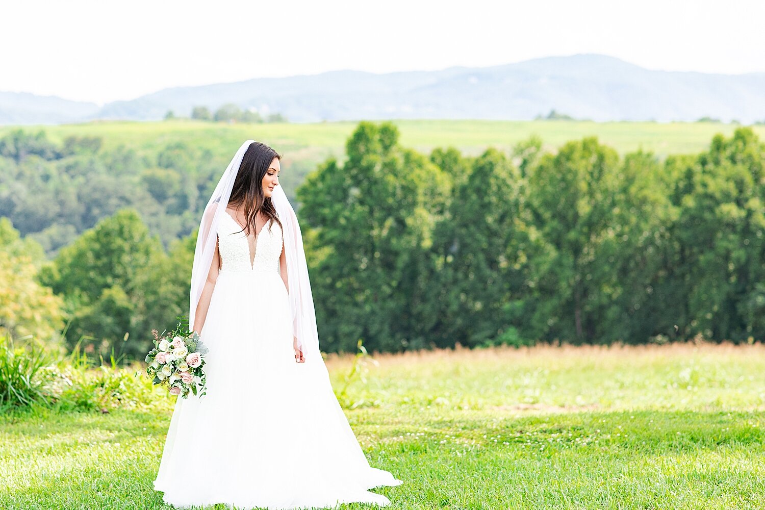 Roanoke Wedding Photographer_3423.jpg