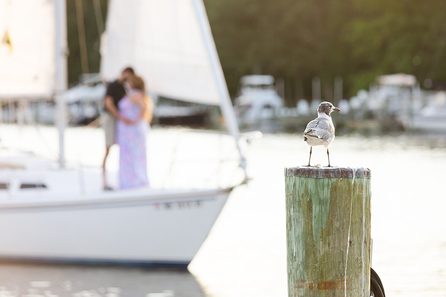 Annapolis engagement session_3642.jpg