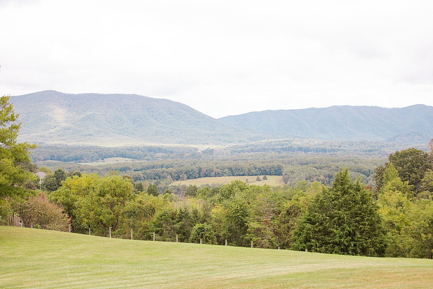 Barn at Back Creek Wedding_3891.jpg