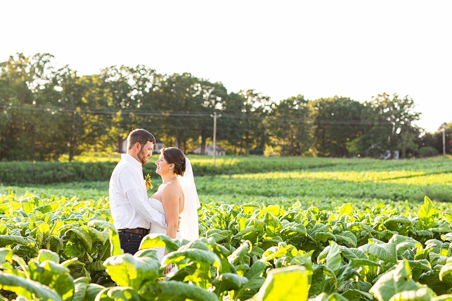 rustic farm virginia wedding_3579.jpg