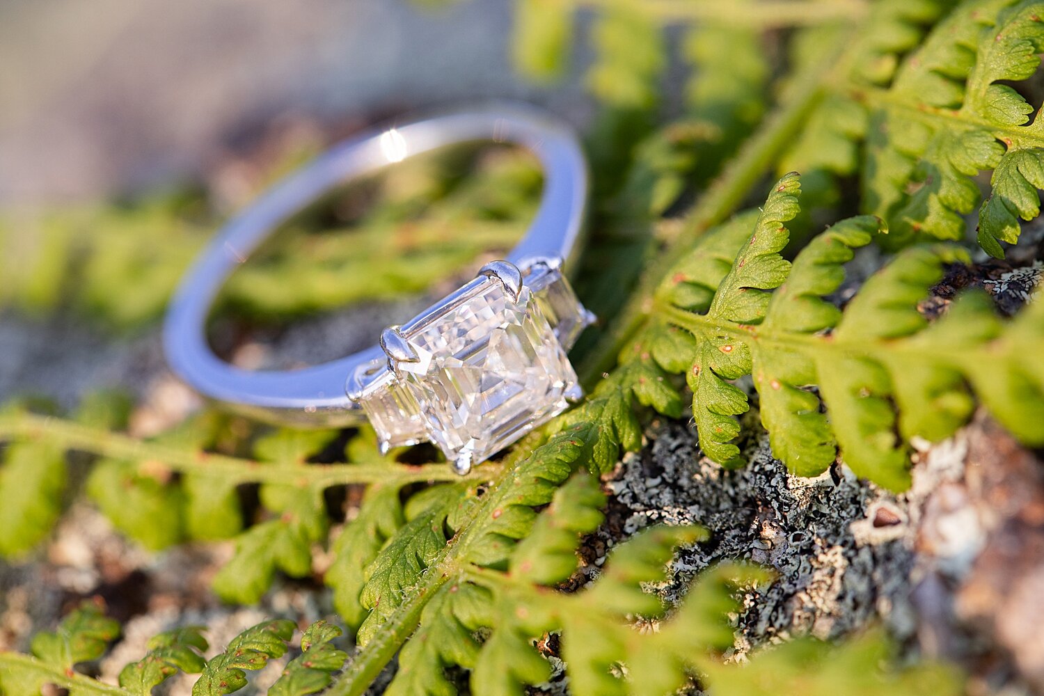 Cole Mountain Engagement Session_4073.jpg