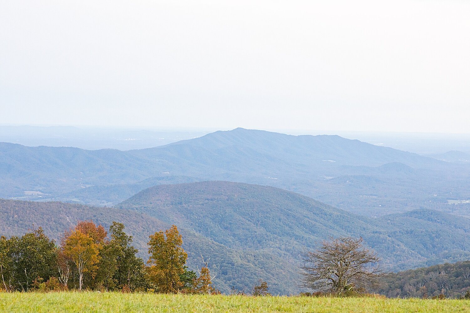 Cole Mountain Engagement Session_4088.jpg