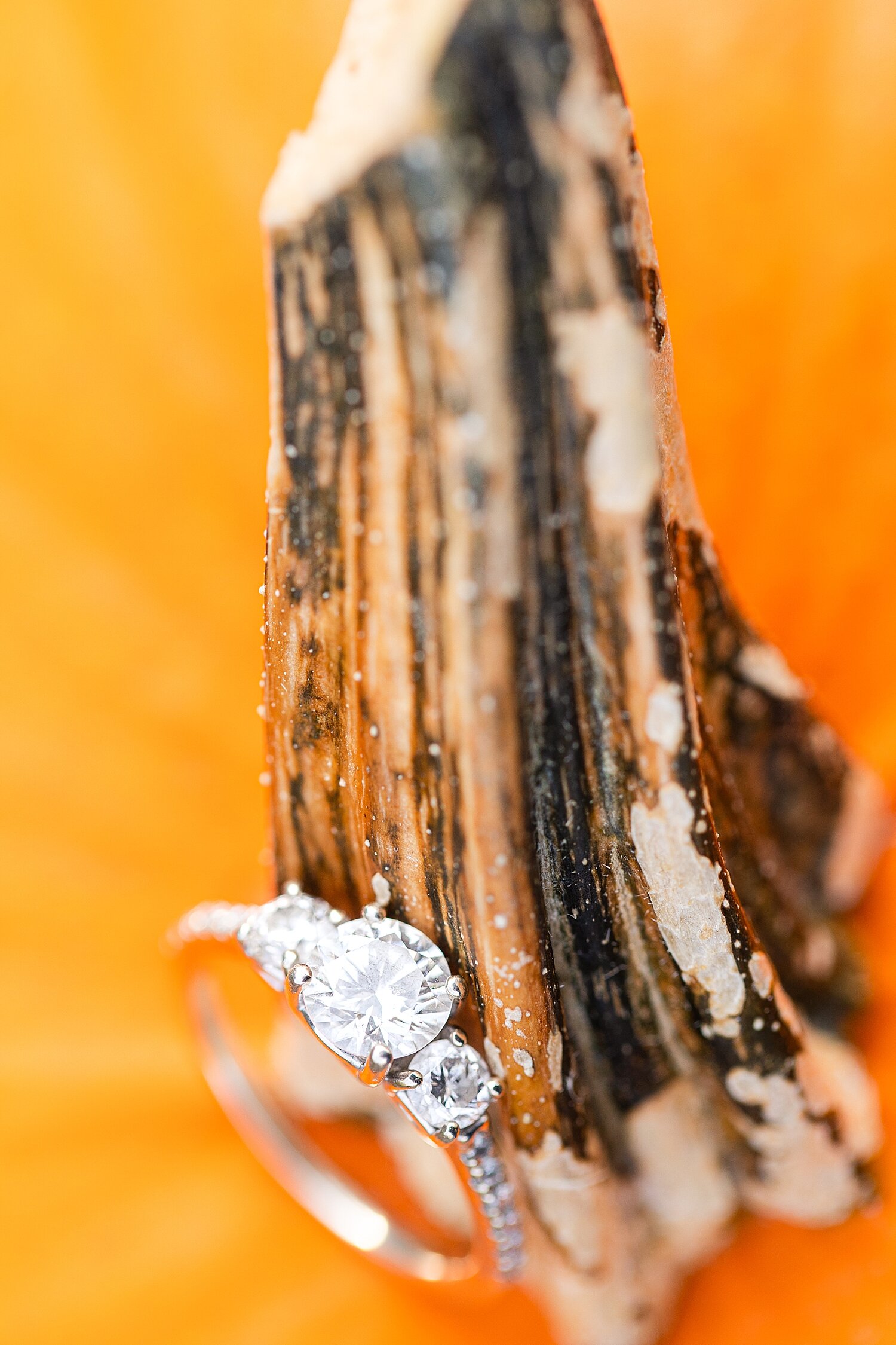 Peaks of Otter engagement session_4248.jpg