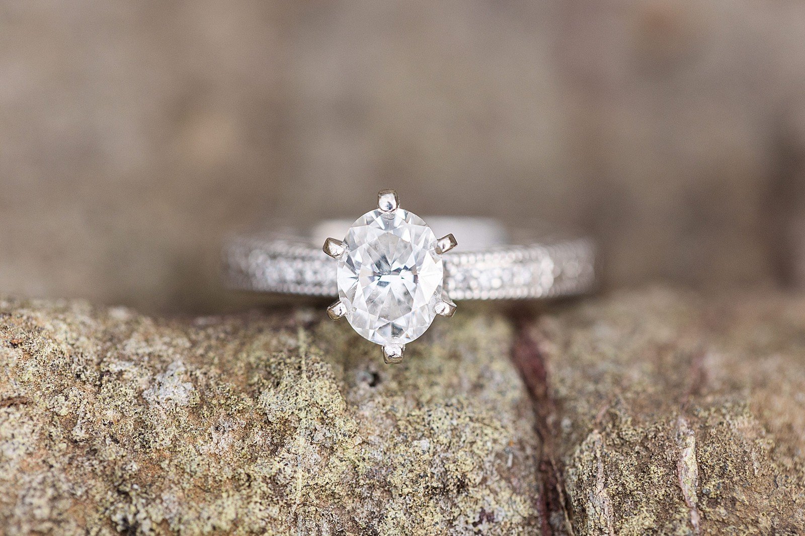 shenandoah national park engagement session_2102.jpg