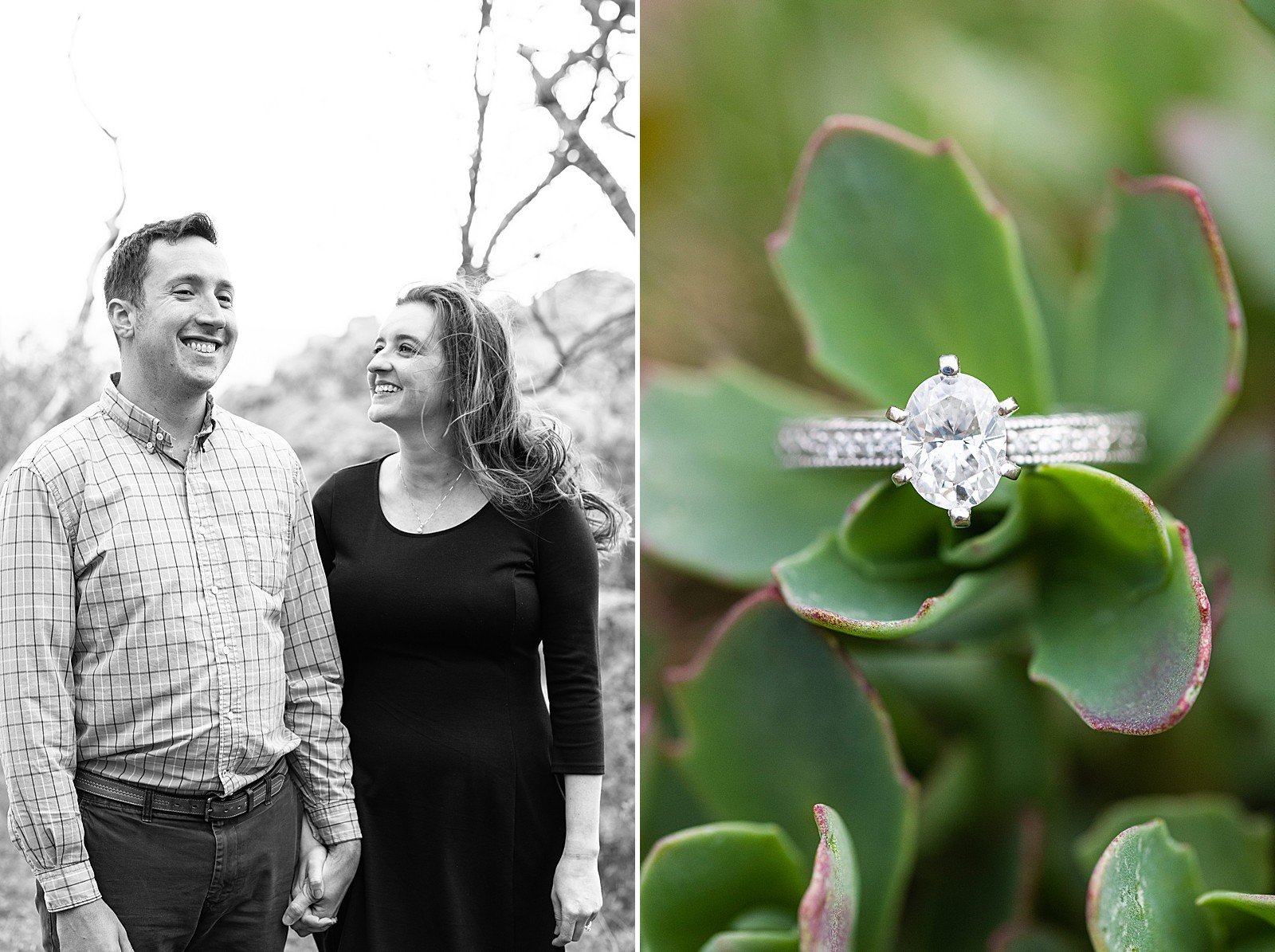 shenandoah national park engagement session_2113.jpg