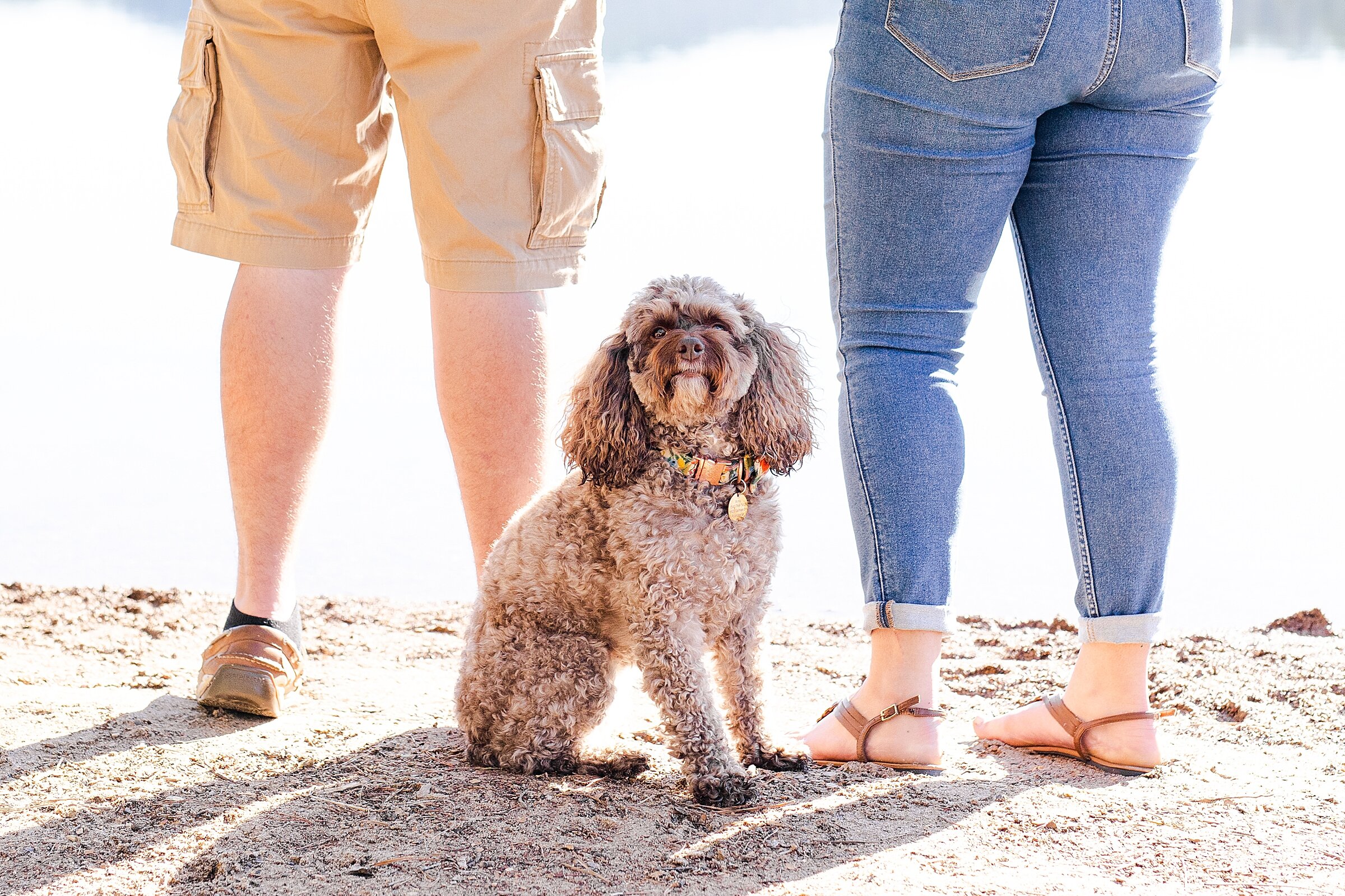 Carvins-cove-engagement-session_0005.jpg