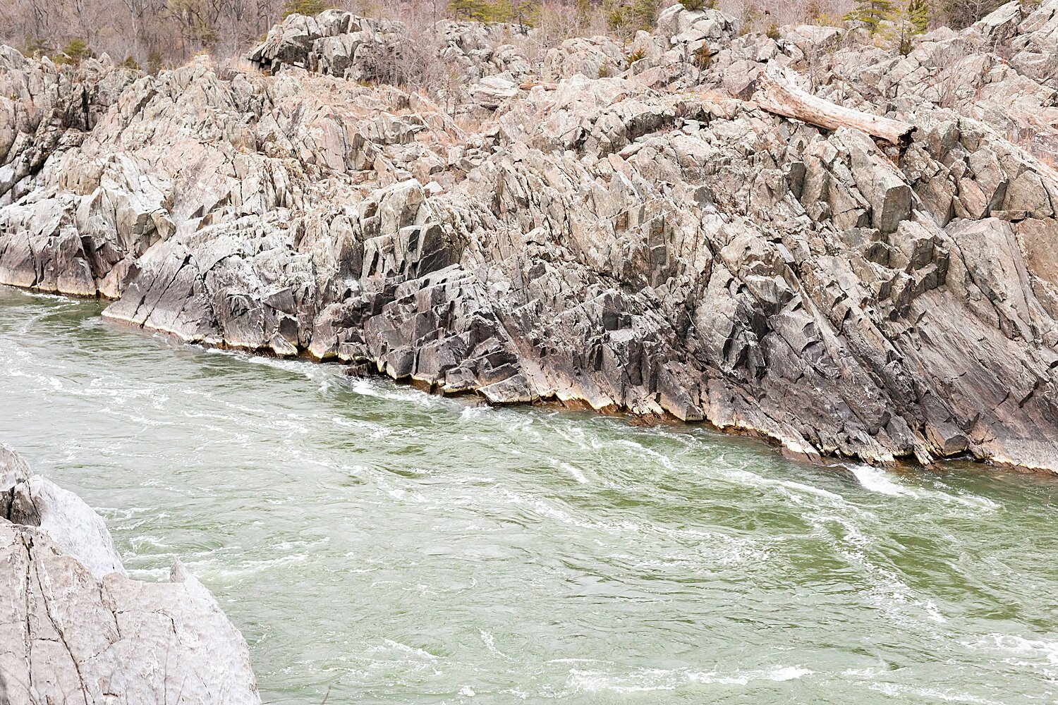 Great Falls National Park engagement session_4998.jpg