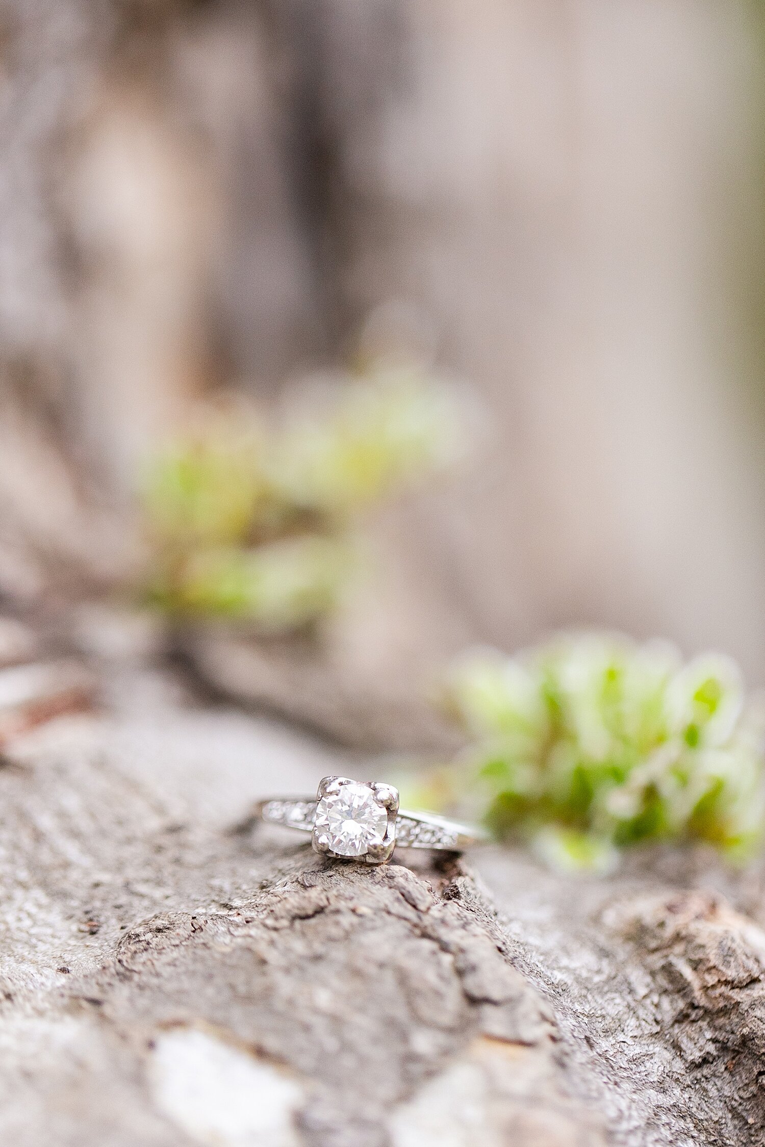 Great Falls National Park engagement session_5006.jpg