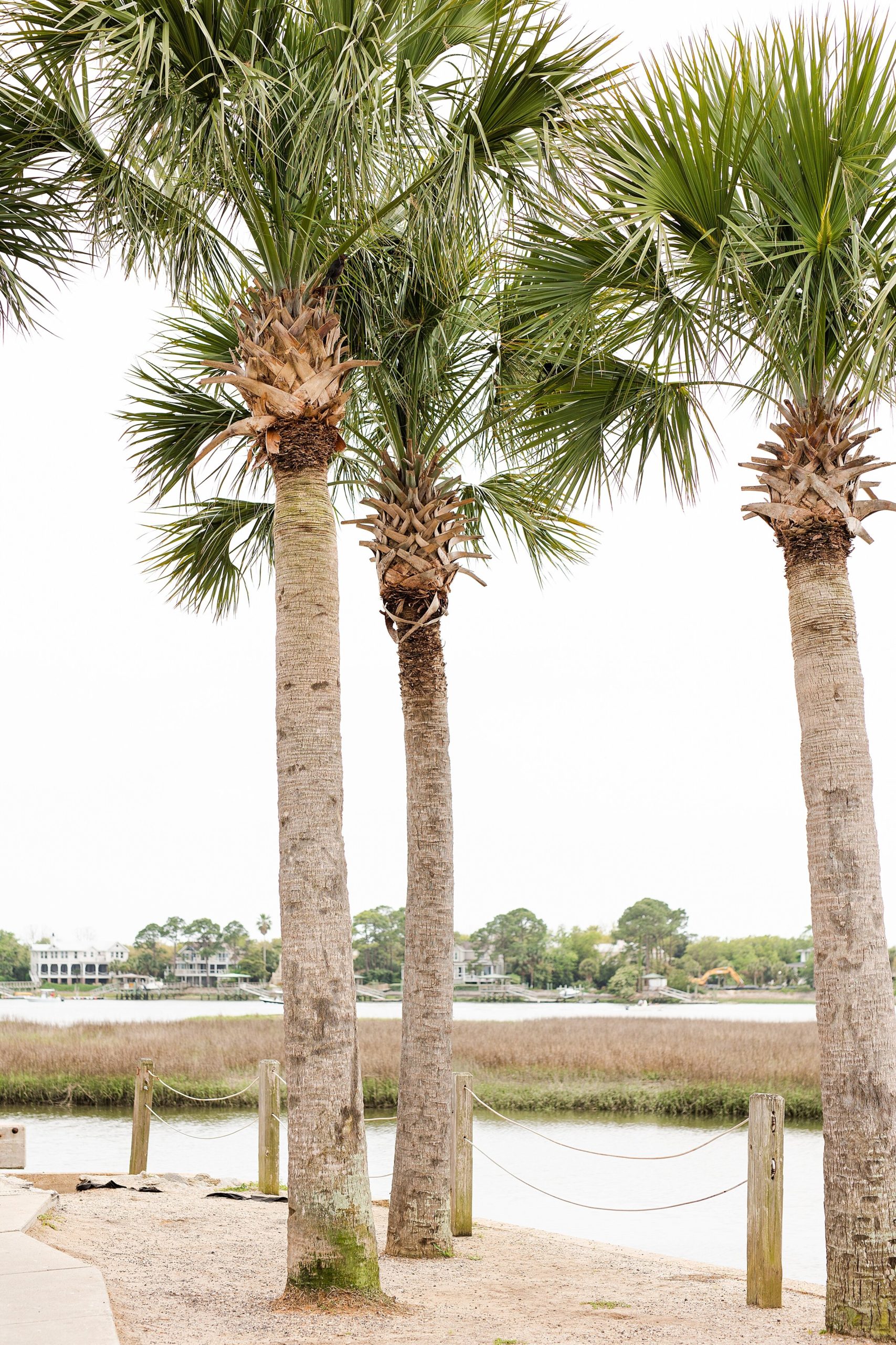 Charleston-engagement-session_0061.jpg