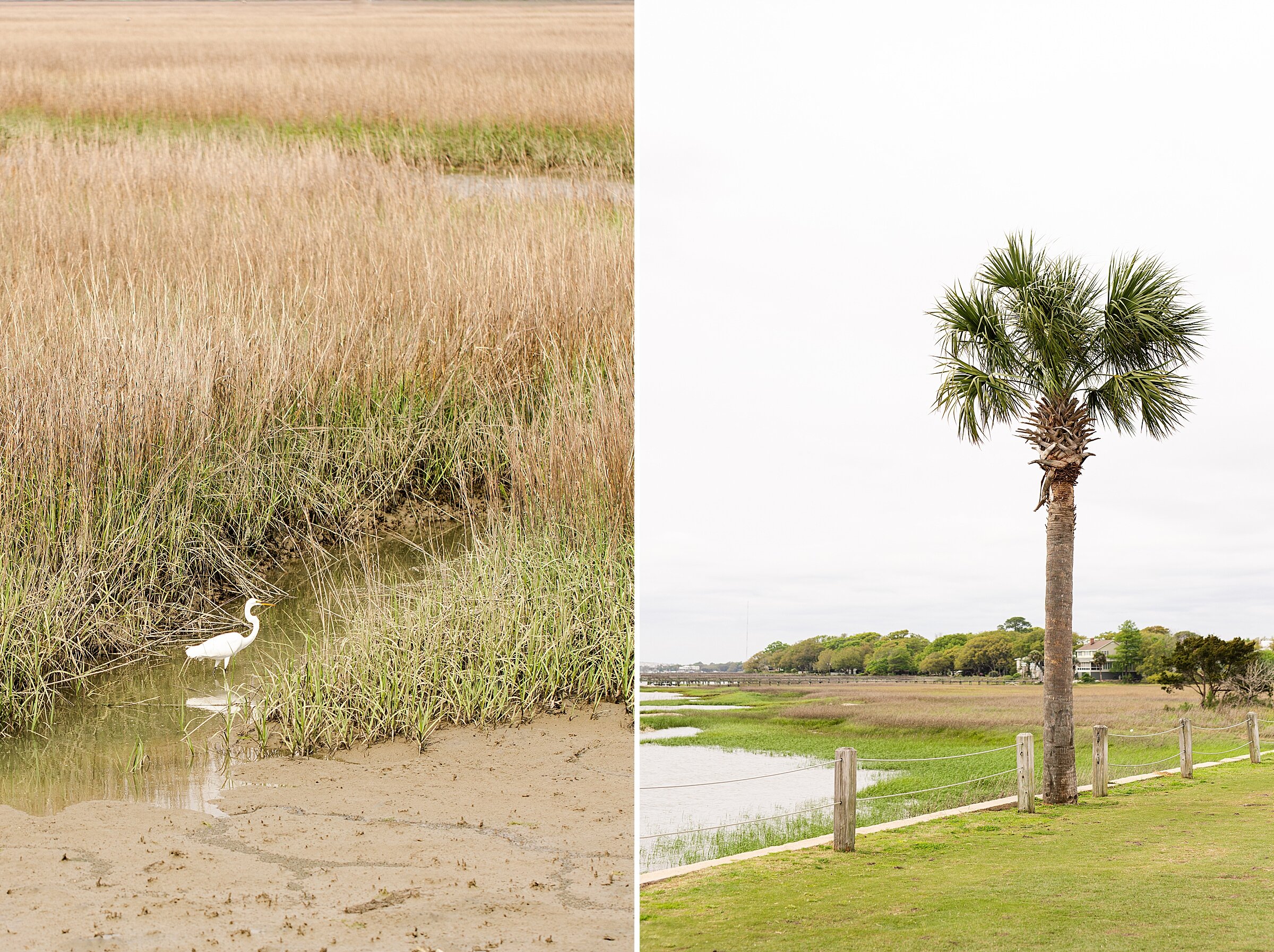 Charleston-wedding-photographer_0105.jpg