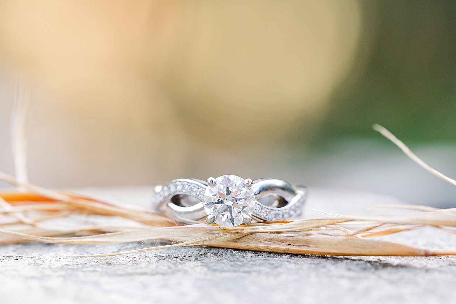 spring-lynchburg-engagement-session_5116.jpg