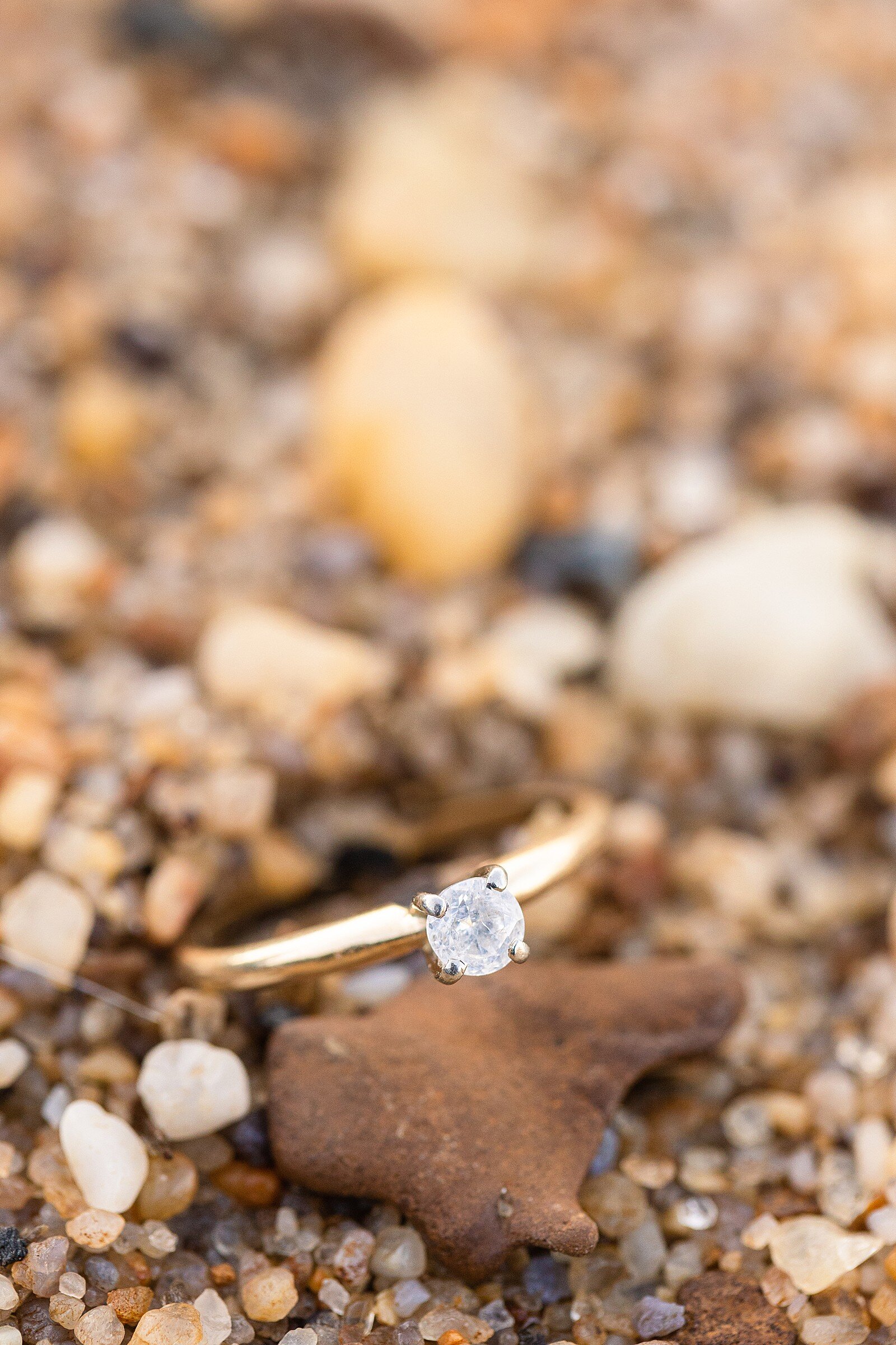 Fossil Beach engagement session_2134.jpg