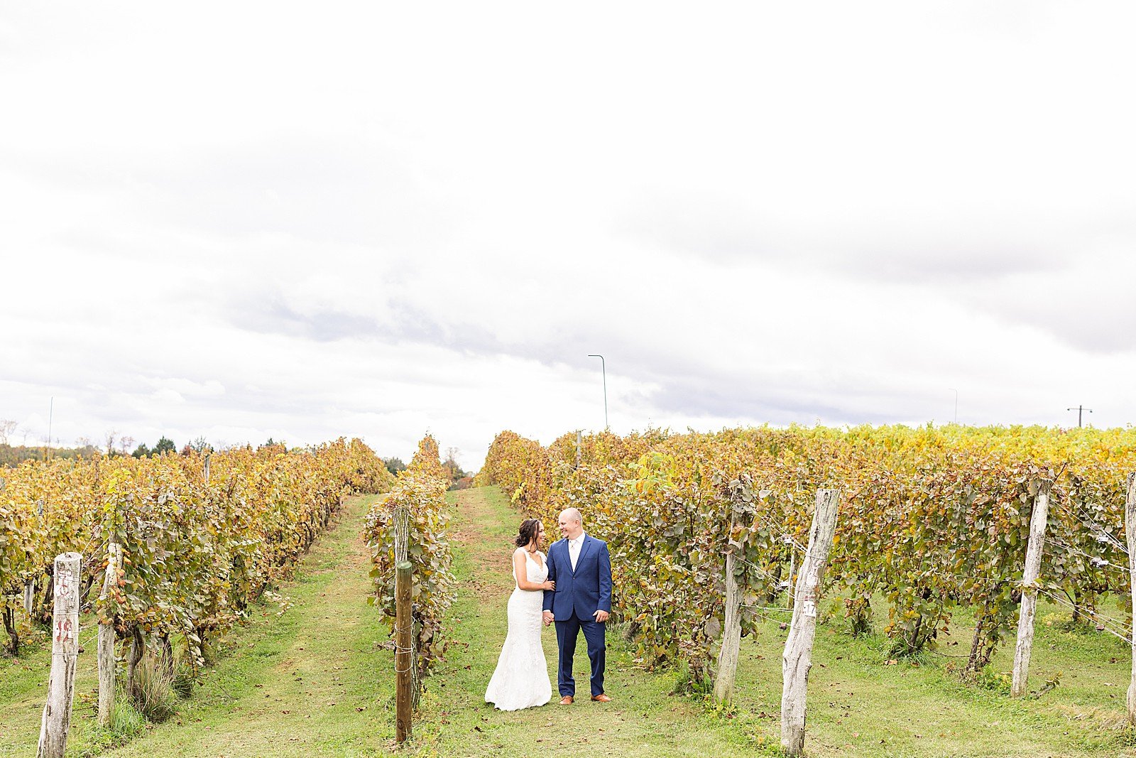 Virginia Winery Wedding_2166.jpg