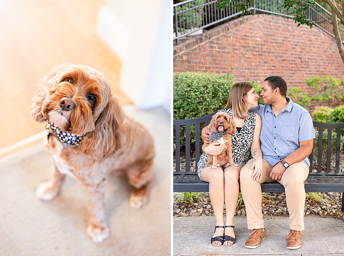 This downtown Lynchburg engagement session started out near their apartment in Wyndhurst but ended up downtown on the cobblestone streets! We loved having fun with these two in the hill city!