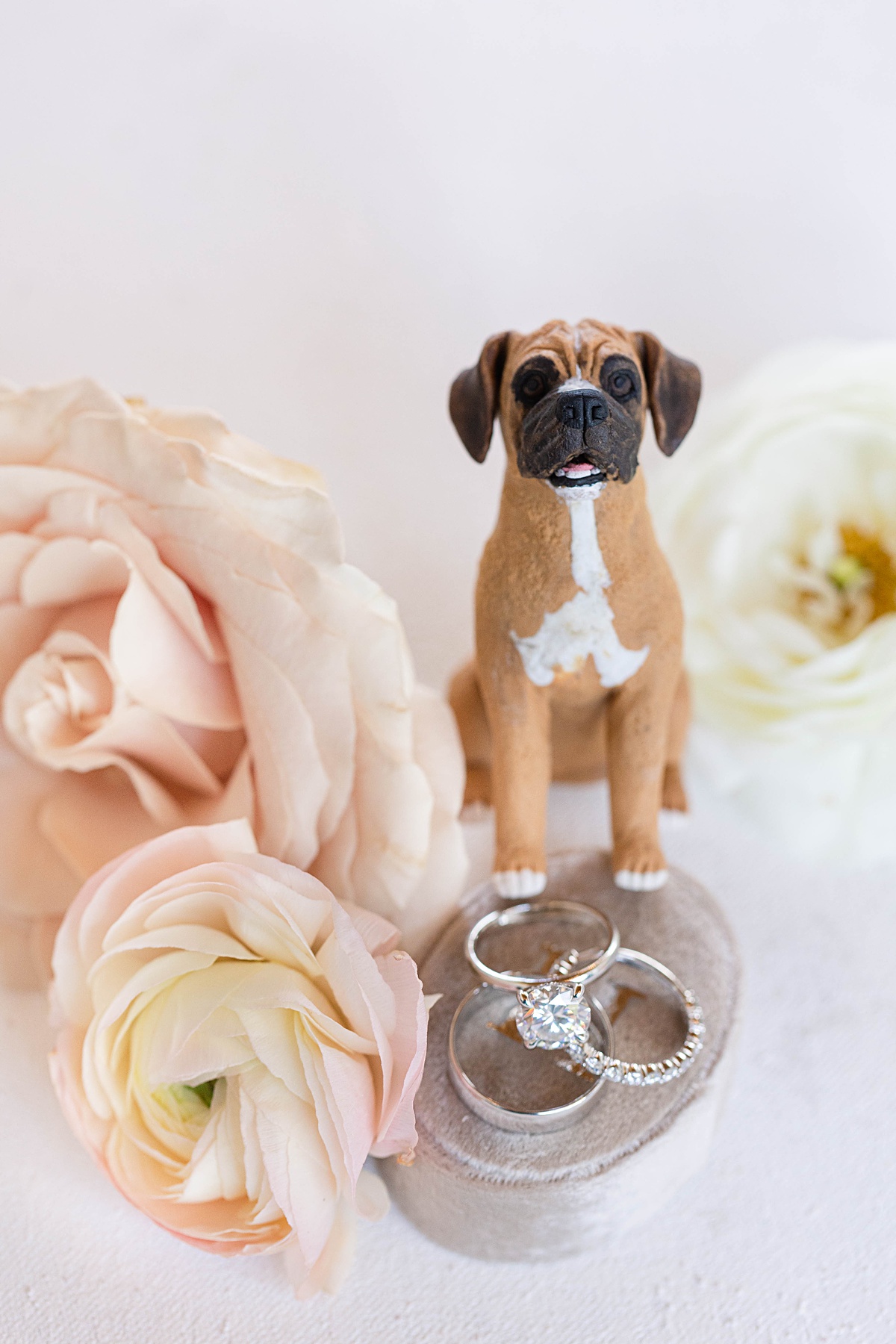 This elegant garden wedding at Cedar Oaks Farm features a classic car, stunning ceremony mountain view, unique bridal details, a boxer puppy, and a surprise baby gender reveal cake!