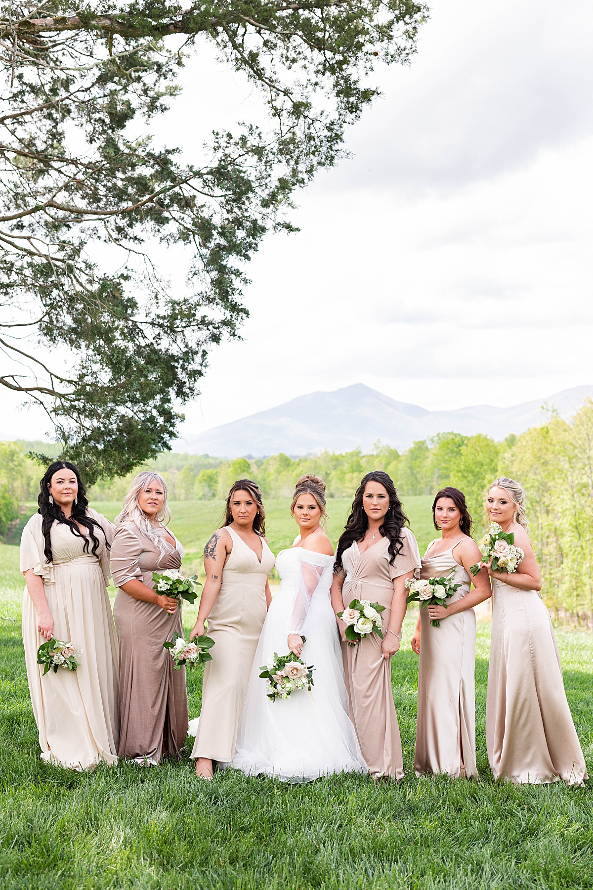 This elegant garden wedding at Cedar Oaks Farm features a classic car, stunning ceremony mountain view, unique bridal details, a boxer puppy, and a surprise baby gender reveal cake!