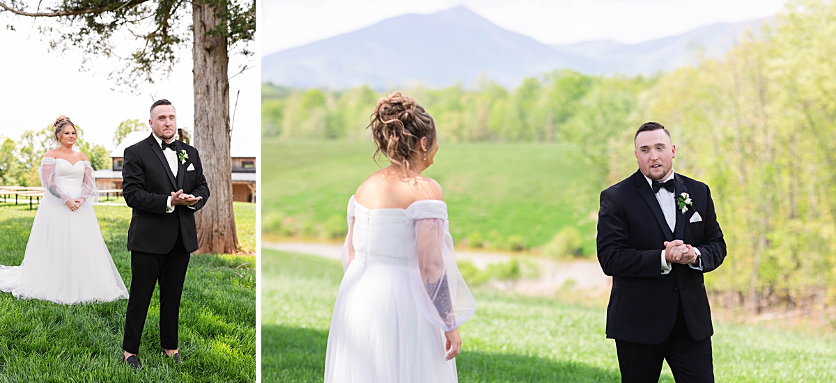 This elegant garden wedding at Cedar Oaks Farm features a classic car, stunning ceremony mountain view, unique bridal details, a boxer puppy, and a surprise baby gender reveal cake!