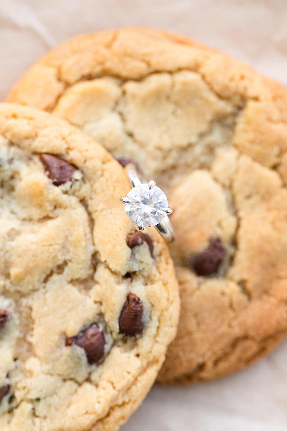 Cookies are my favorite dessert so when Allison & Brayden asked for a Rookies Engagement Session I was so excited!! They even had another surprise in store for me!