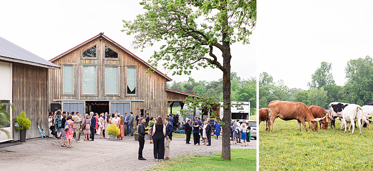 Reception photos at this Richmond, Virginia rustic spring garden wedding at Running Mare Farm.